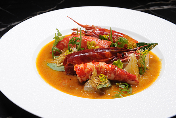 Paste-ASIA-2019-DISH1